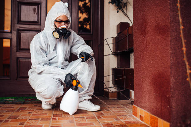 Reliable Ant Control contractor in Bristow, OK by Nex Pest Control