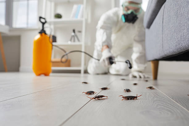 Trusted Fumigation Services service in Bristow, OK - Nex Pest Control